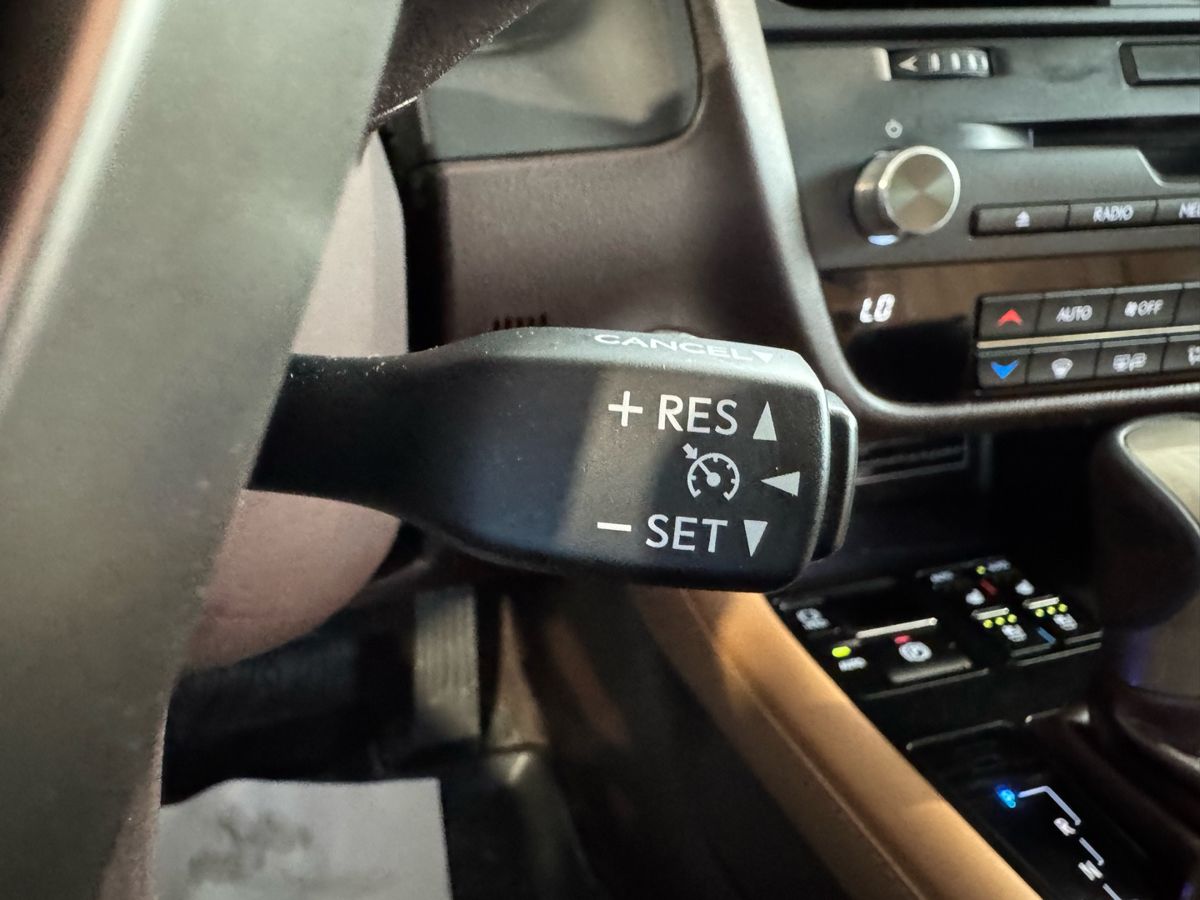 Lexus RX, фото 21